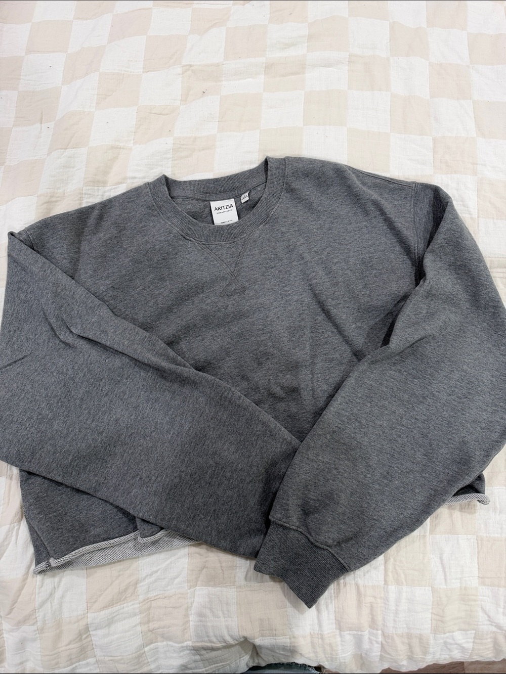 Aritzia Women's Crewneck Cropped Sweatshirt - Charc
